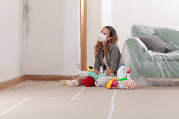 Reliable Basement Mold Remediation contractor in Garysburg, NC by WQB Mold Removal